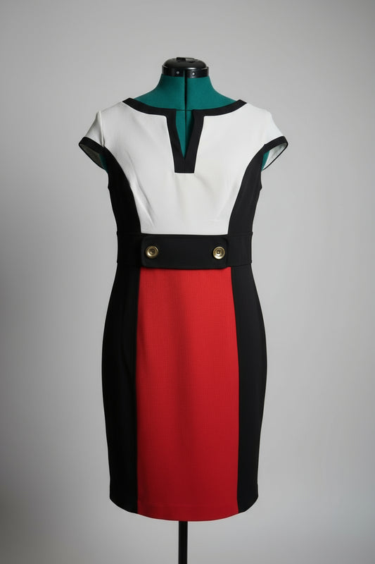 Sandra Darren Mod Colorblock Dress