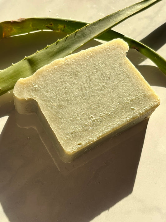 Aloe & Olive Bar