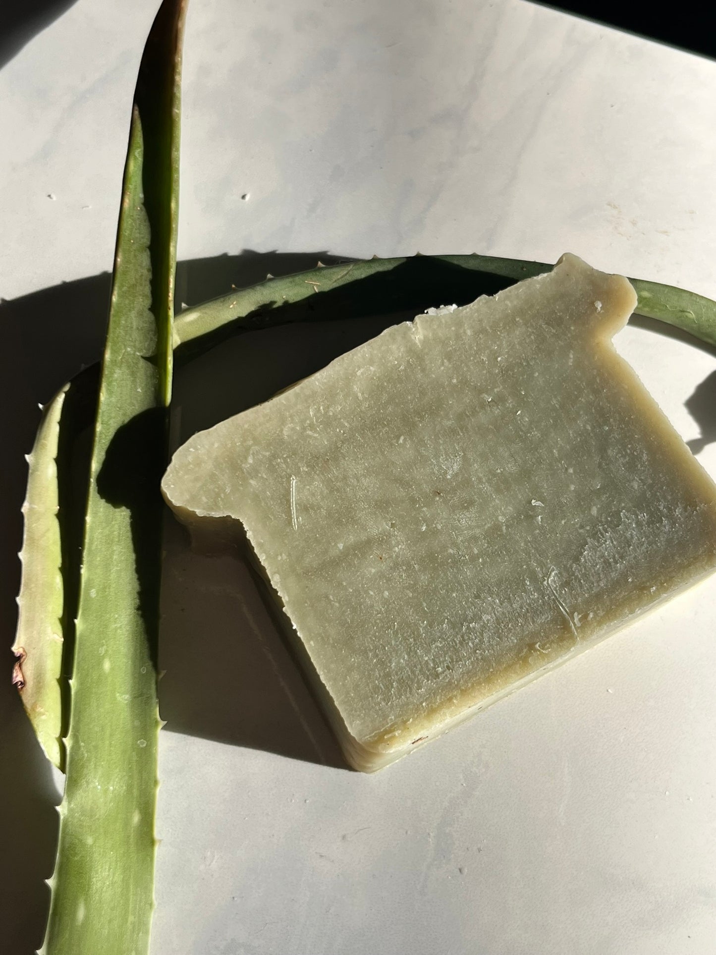 Aloe & Olive Bar